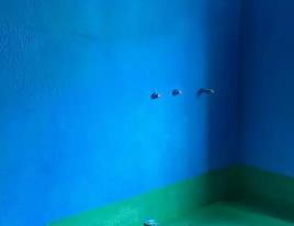 龙湖卫生间测漏水多少钱